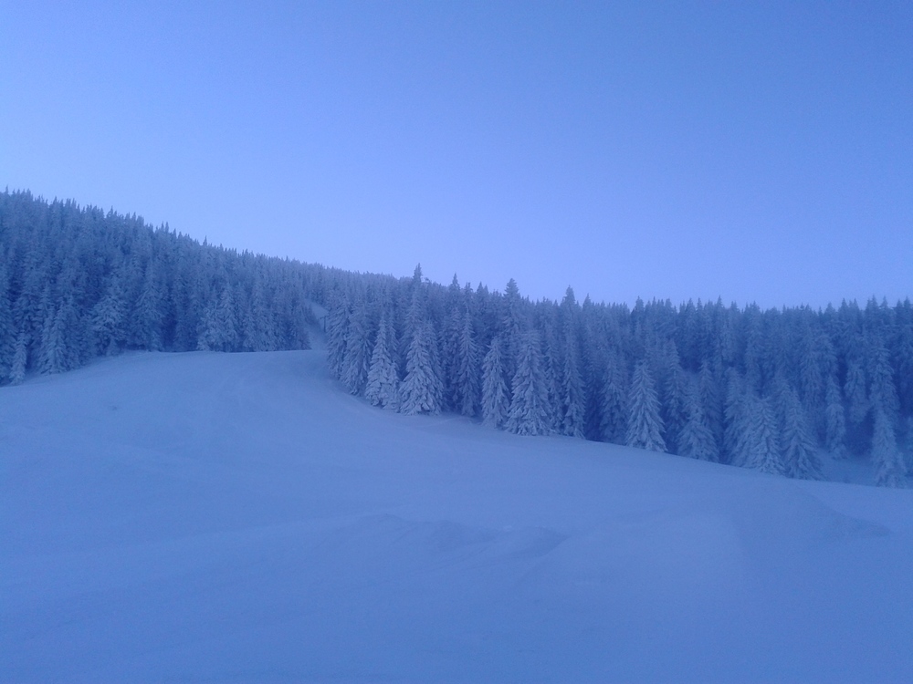 20161216_085031.jpg