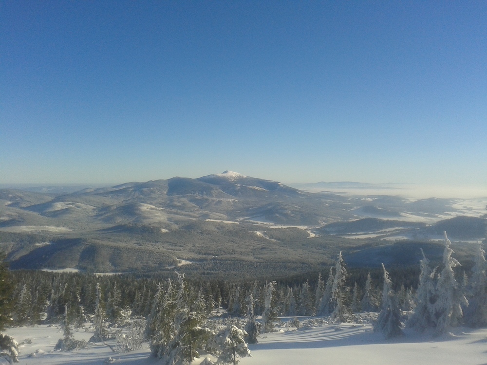 20161216_095817.jpg