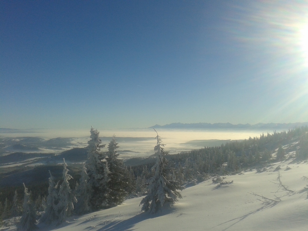 20161216_095849.jpg