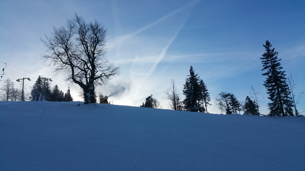 20161217_083037.jpg