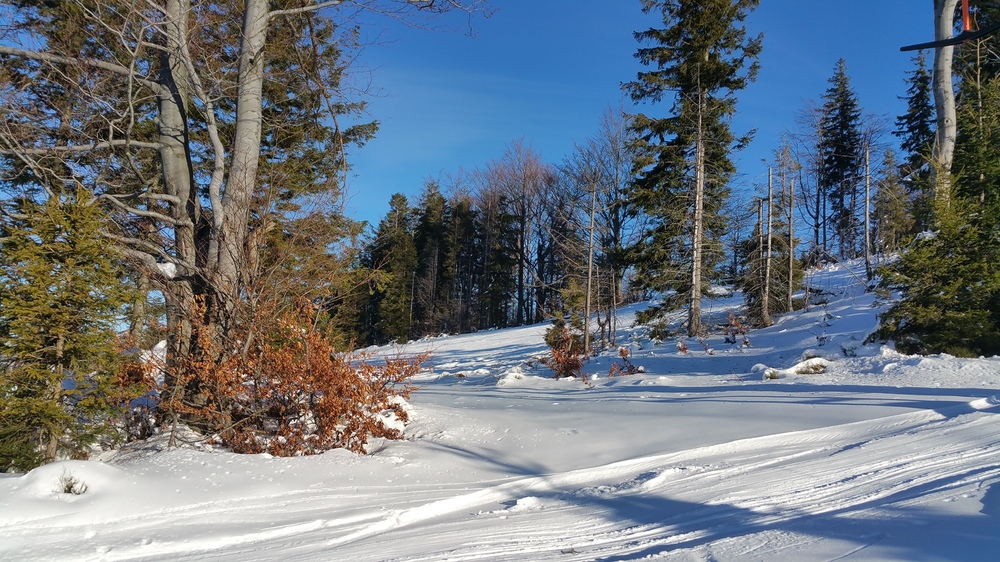 20161217_102733.jpg