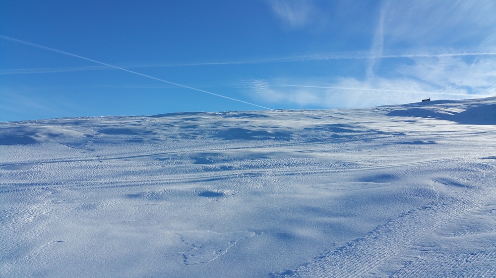 20161217_113627.jpg