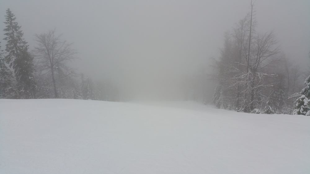 20161218_084019.jpg