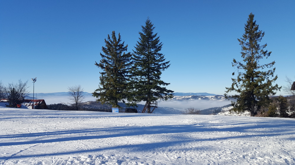20161220_122742.jpg