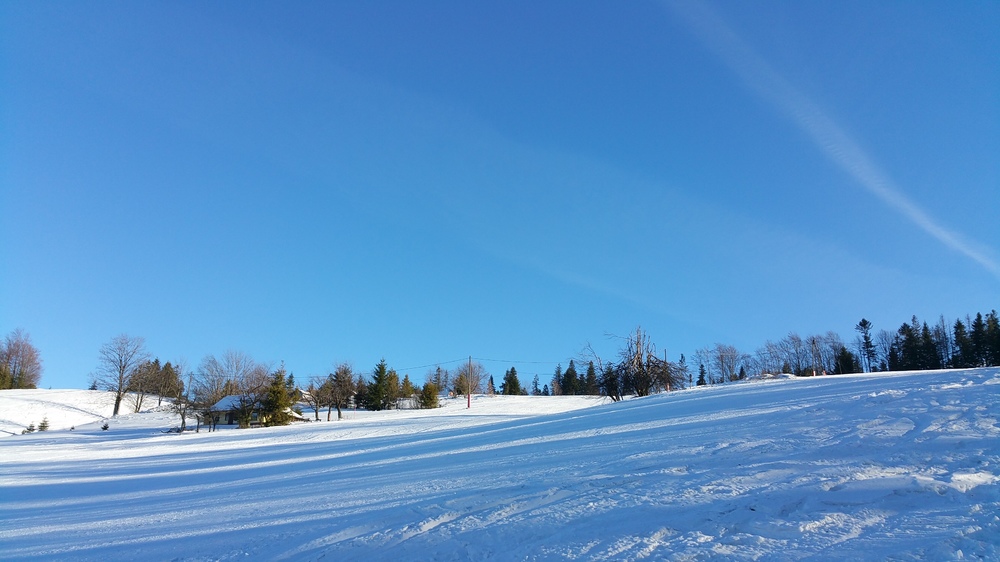 20161221_125218.jpg