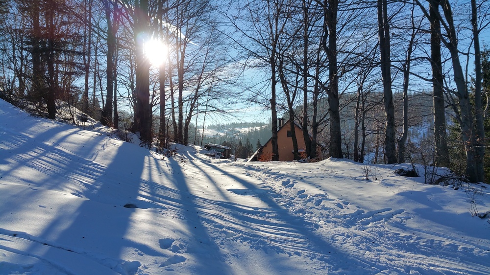 20161221_125222.jpg