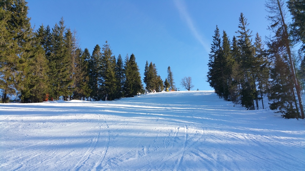20161221_130402.jpg