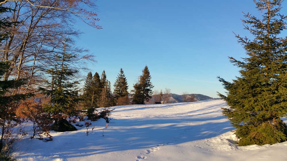 20161221_145809.jpg