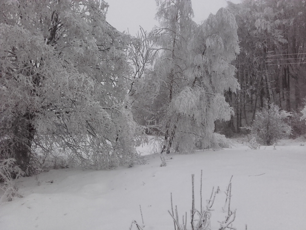 20161224_072341.jpg