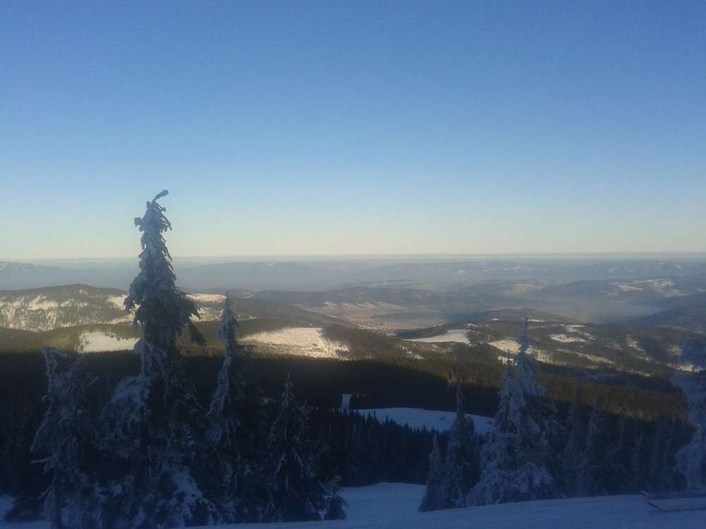 20161230_085742.jpg