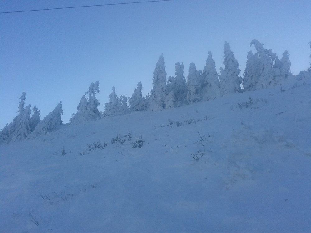20161230_085756.jpg