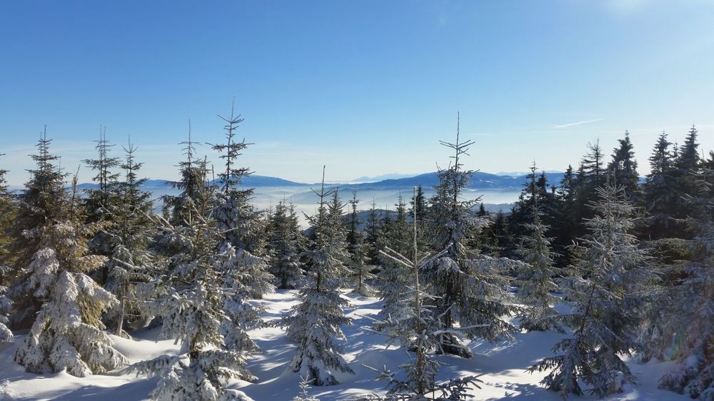 20161230_102301.jpg