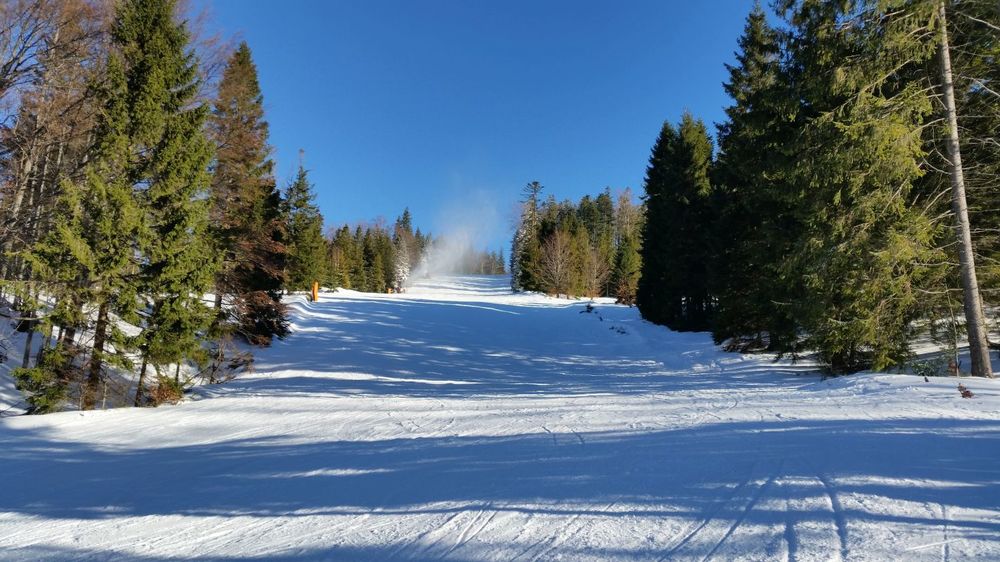 20161230_114238.jpg