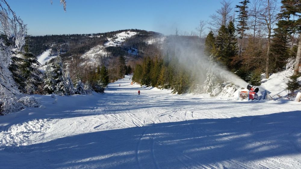 20161230_114245.jpg