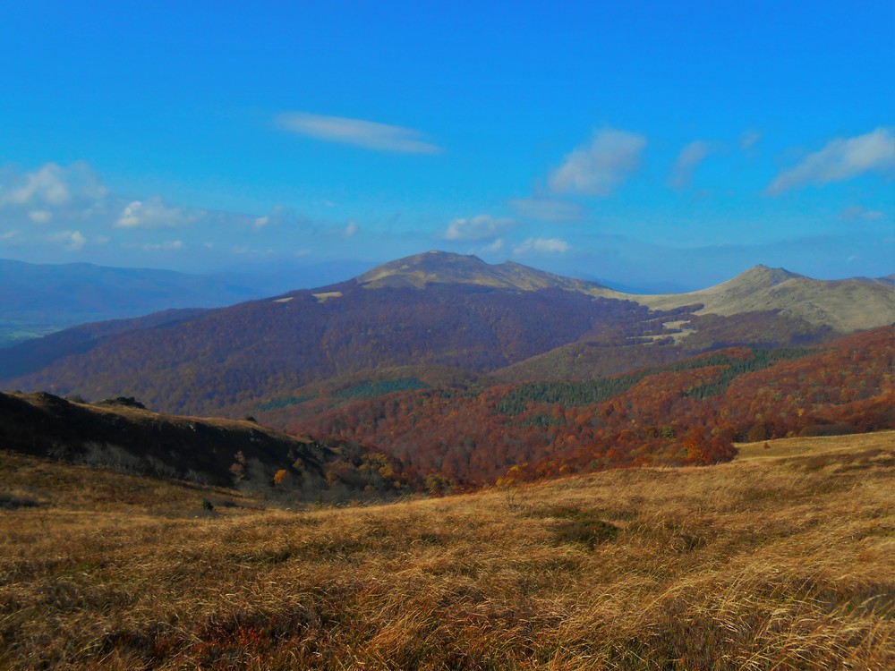 5 Tarnica.JPG