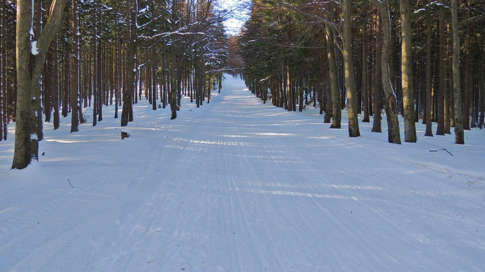 DSCN4465.JPG