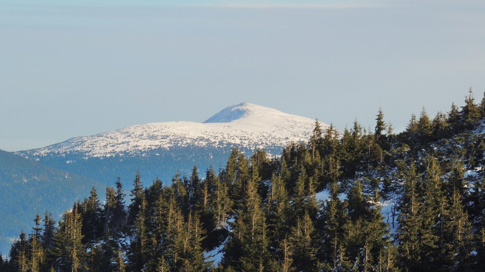 DSCN4484.JPG
