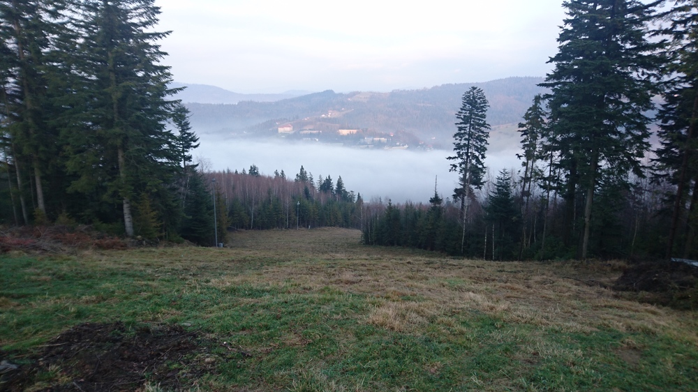 DSC_1124.JPG
