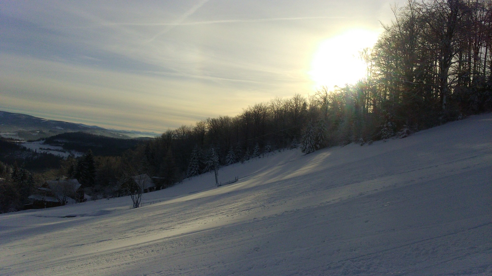 DSC_1513.JPG
