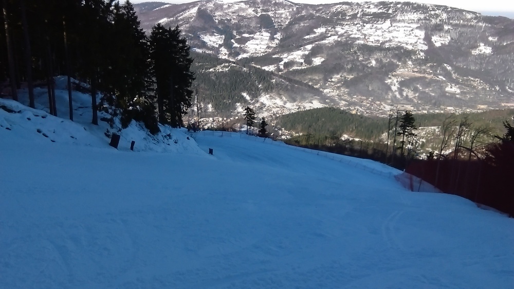 IMAG0279.jpg