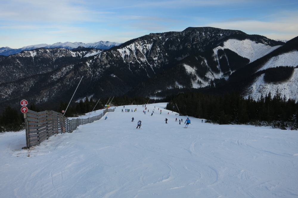 IMG_6311.jpg