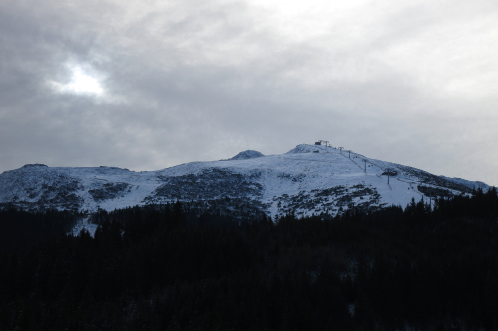 IMG_6346.jpg