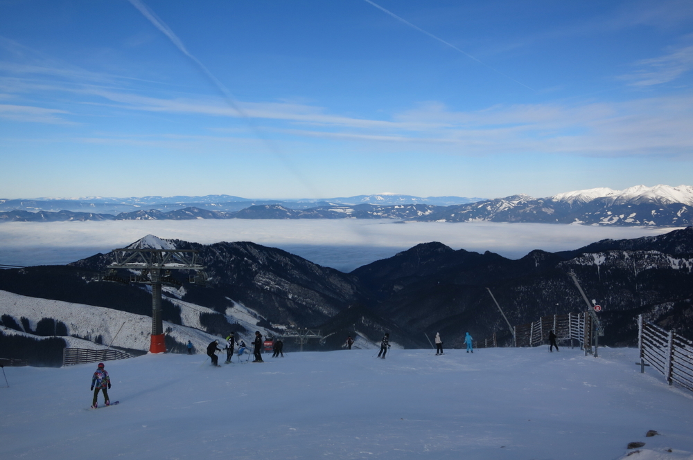 IMG_6396.jpg