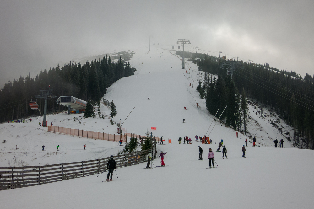IMG_6563.jpg