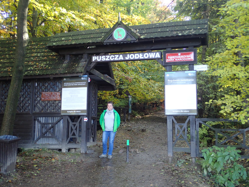 PA231255.JPG