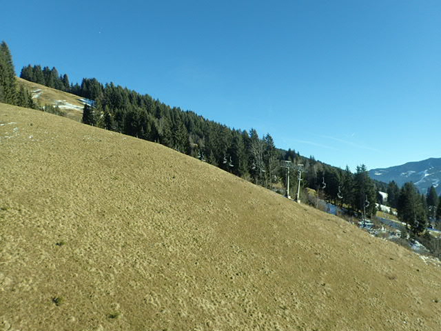 PC202950.JPG