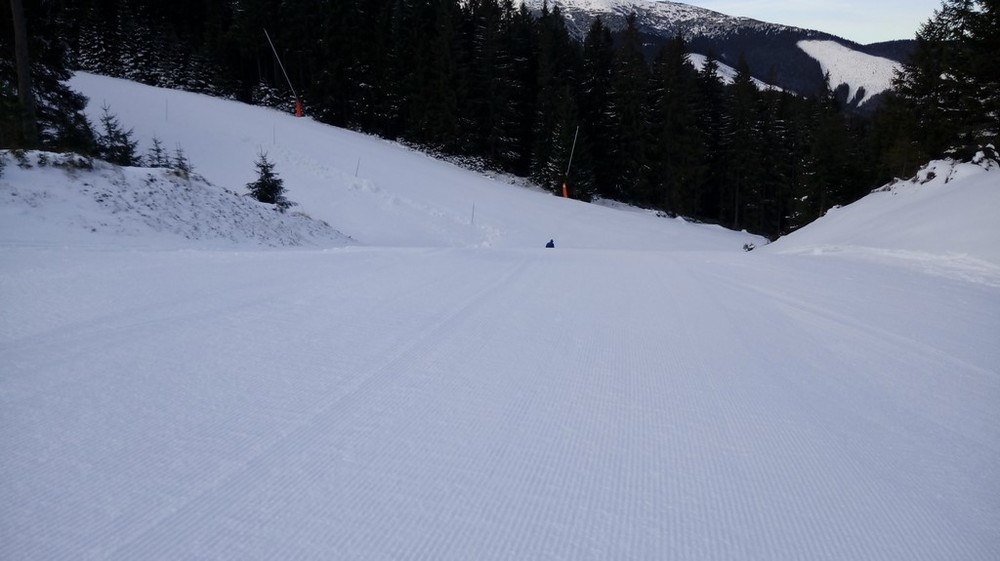 fis1.jpg