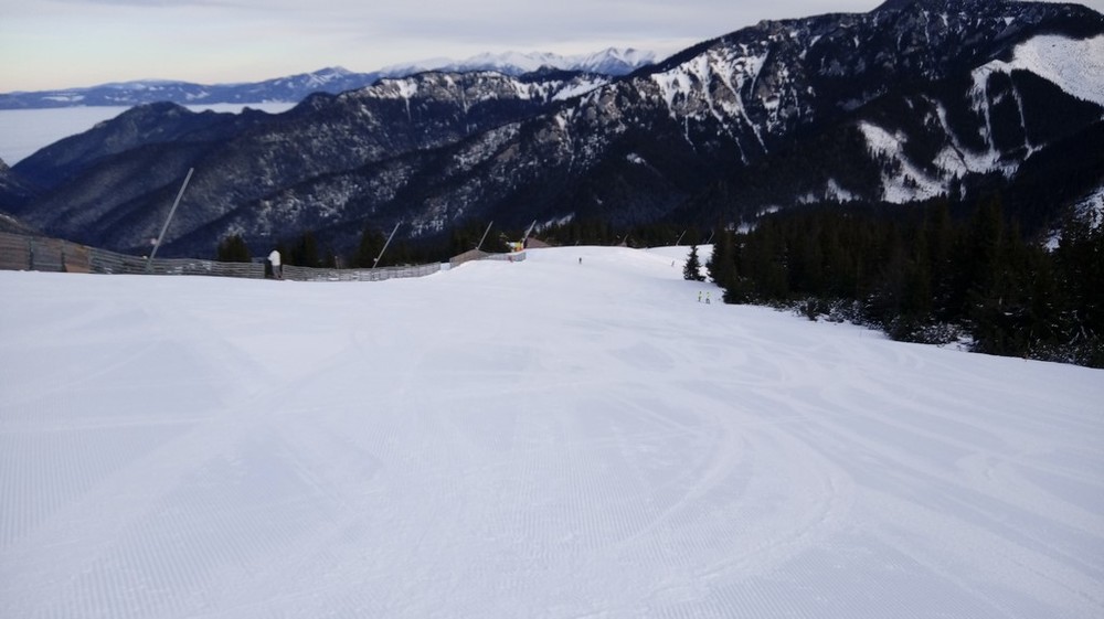 fis5.jpg