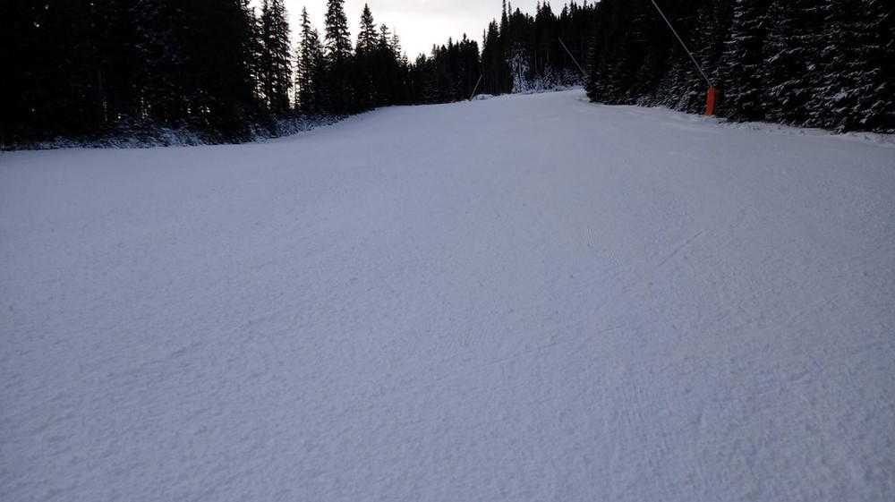 fis6.jpg