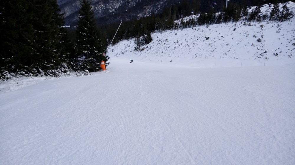 fis7.jpg