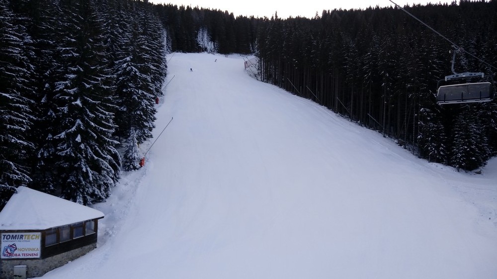fis9.jpg