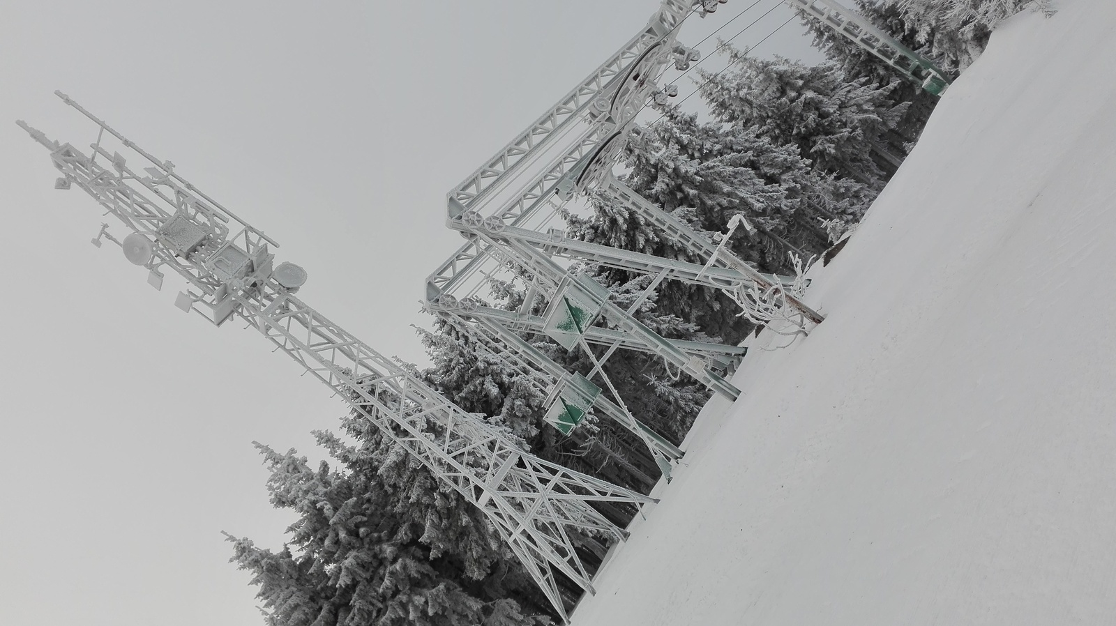 large.IMG_20161229_085852.jpg
