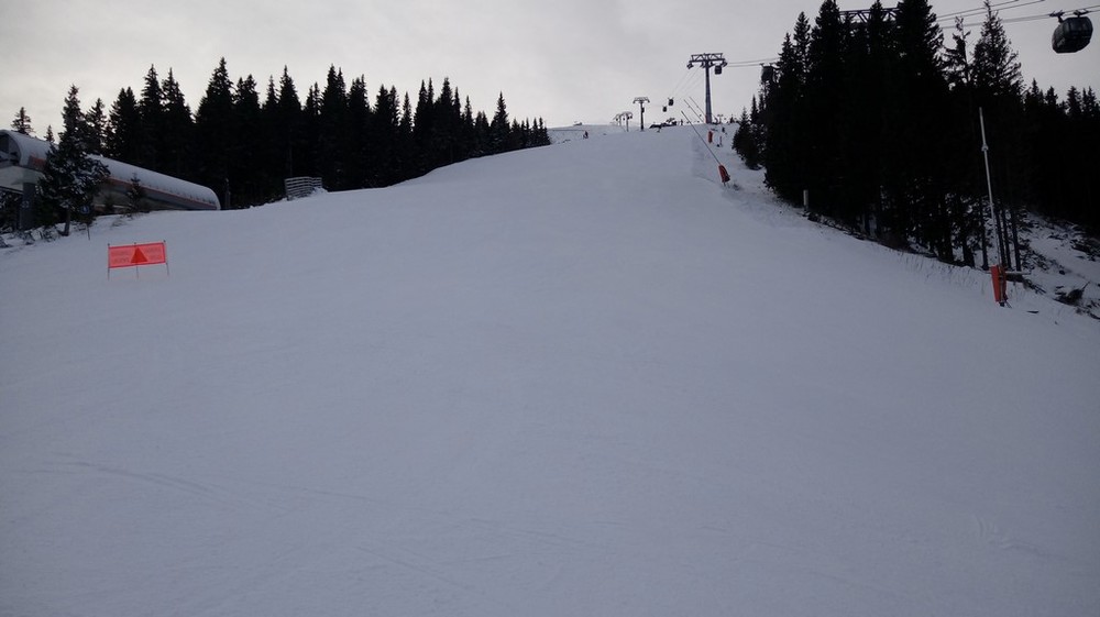 p3.jpg