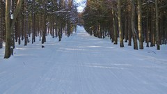 DSCN4465.JPG