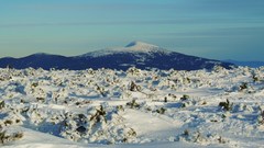DSCN4518.JPG