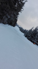 IMG_20161229_083115.jpg