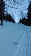 IMG_20161229_105815.jpg