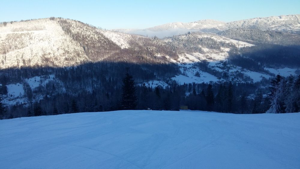 20170107_090145.jpg