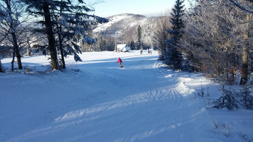 20170107_101037.jpg
