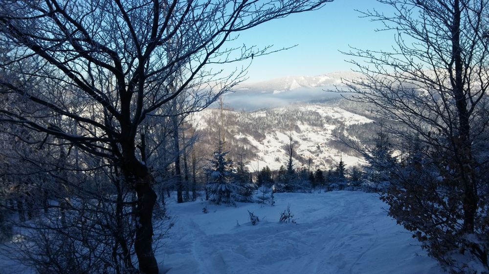 20170107_101039.jpg