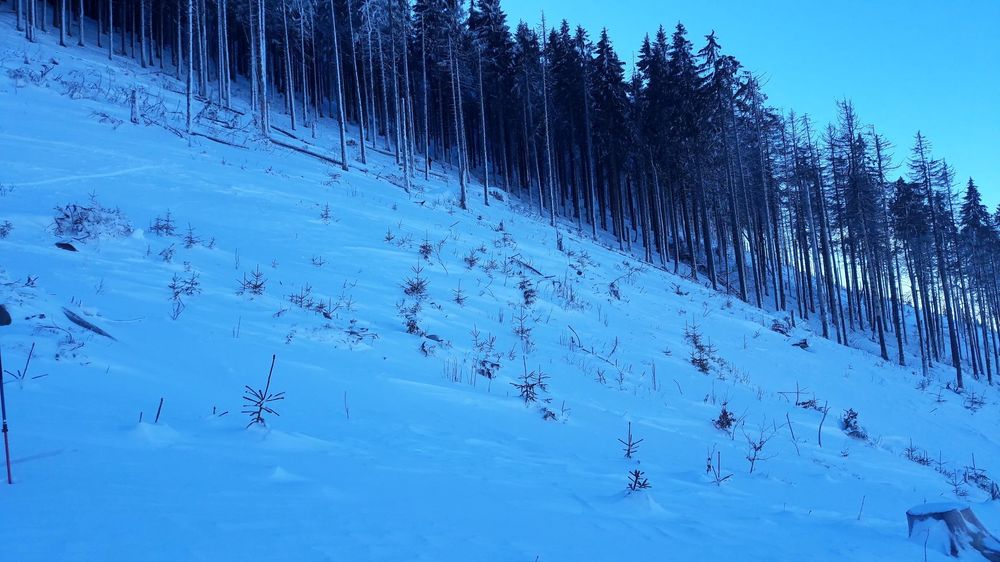 20170108_115254.jpg