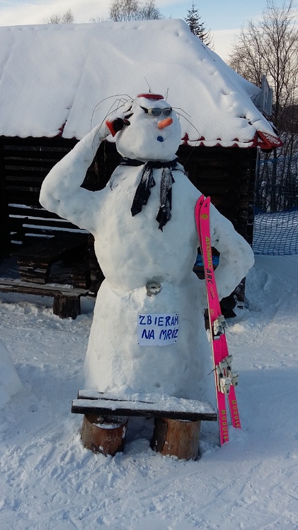 20170110_123607.jpg