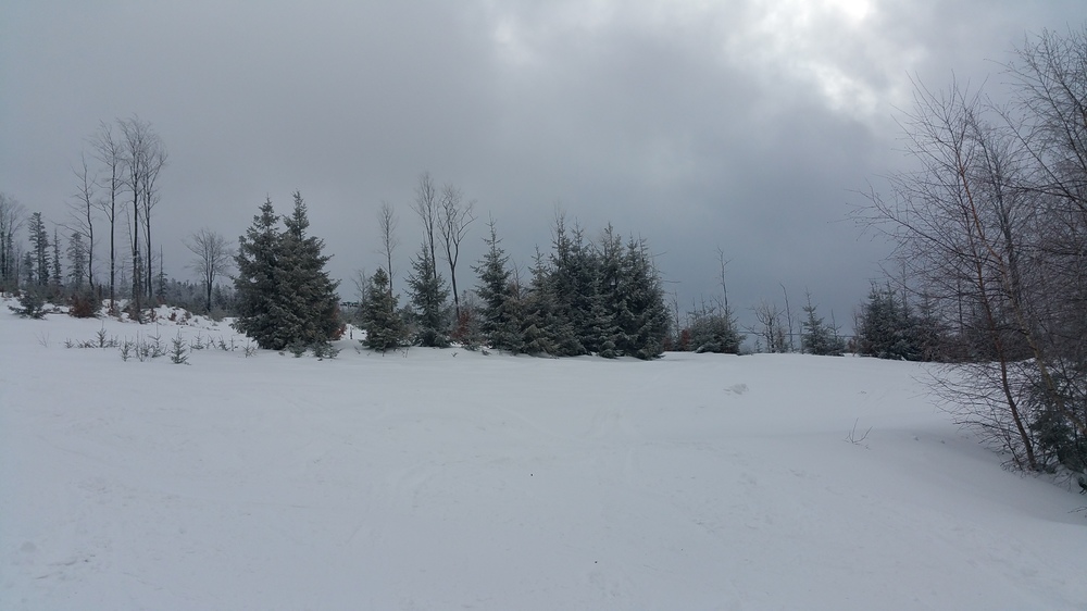 20170114_112239.jpg