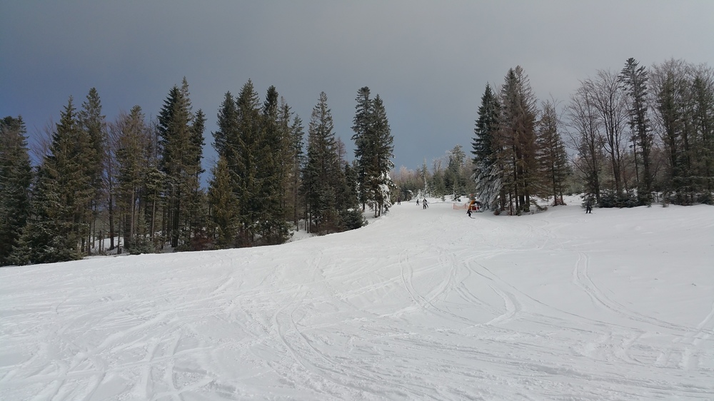 20170114_113358.jpg