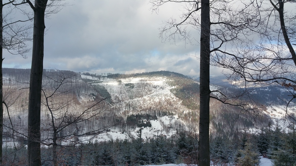 20170114_115010.jpg