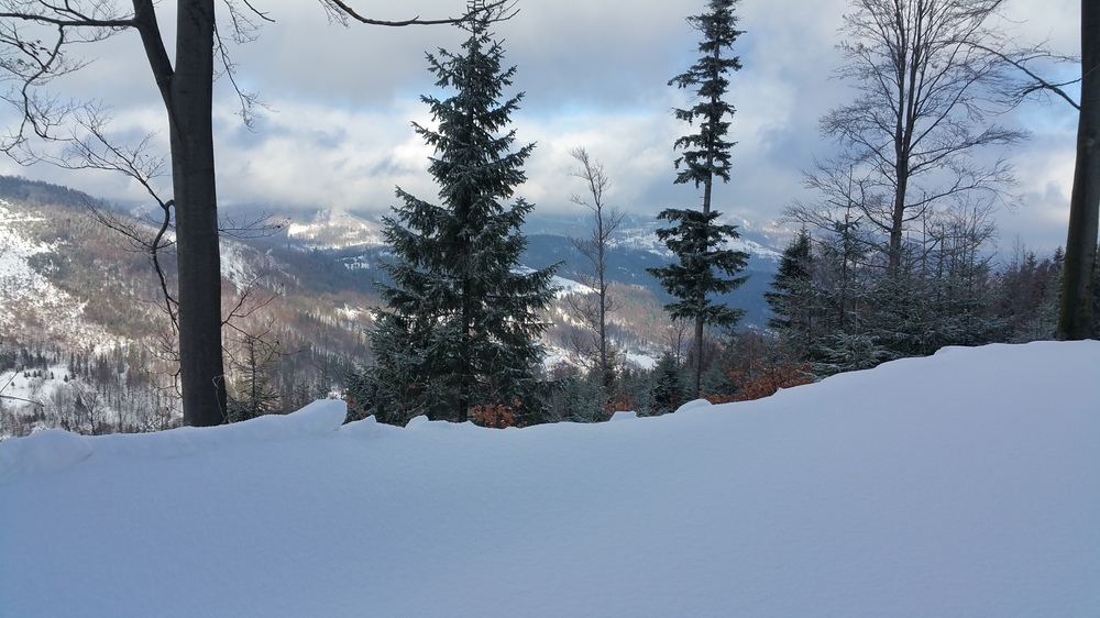 20170114_115019.jpg